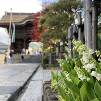 御開帳の善光寺とゴールデンウィークの信州旅①　　善光寺～中野～湯田中温泉