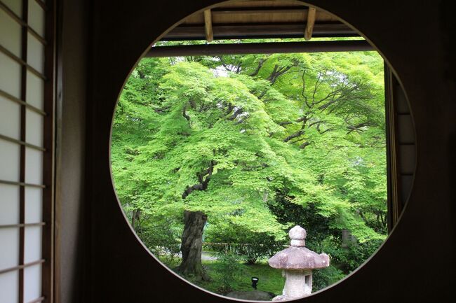 ５月半ば～久々に団体旅行(関連)の会合に、出席してきました。<br />今回は京都で１泊=現地集合＆解散だったので、会議の前後にちょっと観光を兼ねまして・・(^_-)-☆<br />・・予想以上に満喫出来た、２日間でした。<br />表紙は旧三井家下鴨別邸で、特別公開されていた茶室での１枚です。