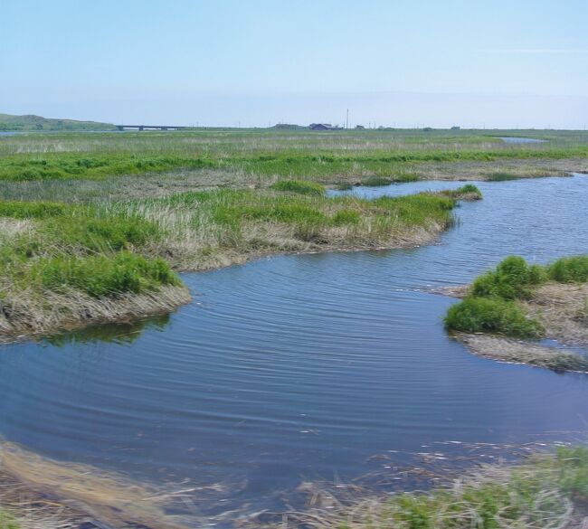 北海道6日間周遊券が半額というキャンペーンが、再開されたと思ったらとうとう8月いっぱいまで期間延長になりました。<br />特急にも乗れて(そもそも鈍行ではほとんど大したところに行けないですが)12,000円はお値打ちと思います。<br /><br />ところで、6日間あれば北海道をつづ浦浦回りきれるのか。<br />できるともいえるしできないともいえそう。<br />とりあえず、札幌在住の60代男性である自分が、やれるだけやってみました。<br /><br />ちなみに、宿泊は旭川1泊、札幌3泊(うちホテル2泊、自宅1泊)、函館1泊の順で、札幌~釧路~網走~旭川~稚内~札幌~留萌~札幌~函館~倶知安~札幌の順に回りました。<br />自宅1泊はいろいろ諸事情で。