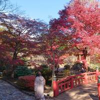 1泊2日 熱海 (2-1) 紅葉の熱海梅園と復活を遂げた温泉街