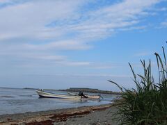 利尻島・礼文島の花々を満喫する旅　4日間　　　No1