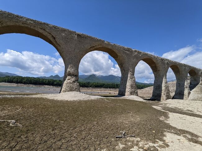 今回の旅の最大の目的はタウシュベツ川橋梁ツアーへの参加でした。昨年同時期に訪れる予定でしたが雨が多くあっという間に水没してしまい、参加する機会を逃しました。水没時期は年によってまちまちなので、今年はまめにタウシュベツ川橋梁の状況をチェックし水没する前に出かけました。 もうひとつの旅の目的は野生のシマフクロウを見るため、養老牛温泉 湯宿だいいちに宿泊することです。 それ故、東京からは中標津空港IN、帯広空港OUTのレンタカー付きプランをJTBのダイナミックパッケージを利用して予約しました。旅程はタウシュベツ橋梁ツアーの予約が取れた日をもとに組みました。 北海道は梅雨がないと言え、当初の天気予報は曇りがちでしたが、旅行中は全般的に天気がよくとても良い旅行になりました。今回の旅行記は2日目の糠平温泉に泊まるとこから4日目までのものです。1日目 走行距離 110km羽田ー千歳 ANA987千歳ー中標津 ANA4881 野付半島トドワラ(オジロワシ) 開陽台(定休日) ●湯宿だいいち ★夜シマフクロウ 2日目 走行距離 170km 阿寒湖遊覧船 阿寒湖ボッケ散策 ●糠平館温泉ホテル3日目 走行距離 90km ★タウシュベツ川橋梁午前ツアー ナイタイテラス●帯広 ドーミーイン帯広4日目 走行距離 130km 愛国駅から幸福駅(エゾリス) 晩成温泉帯広ー羽田 AIRDO68