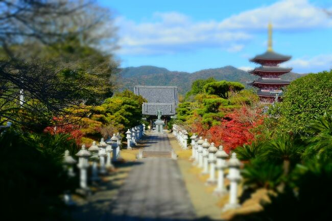 私的タイムリーなネーミングのお寺『蓮華院誕生寺』