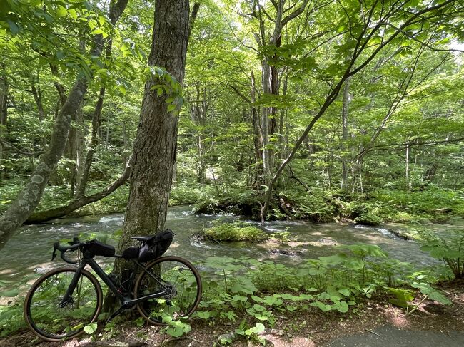 かねてから憧れていた「自転車で新緑の」十和田湖、奥入瀬渓流を巡ることをメインに古代遺跡などを巡りました<br />1日目・・・秋田県の鹿角市入りして大湯環状列石を見学<br />2日目・・・十和田湖に一番近い駅と思われる十和田南駅から奥入瀬渓流の焼山まで自転車で移動<br />3日目・・・八戸の是川縄文館を見学<br />4日目・・・三戸城、九戸城、胆沢城跡など見学