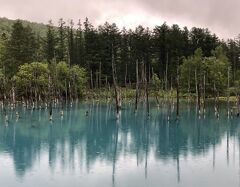 北の大地札幌に6連泊さわやかな北海道ステイ７日間⑨3日目の２～美瑛青い池・四季彩の丘