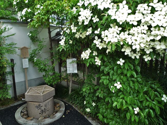 京の都・水無月　きょうと魅力再発見旅プロジェクトで洛中をぶらぶら歩き旅