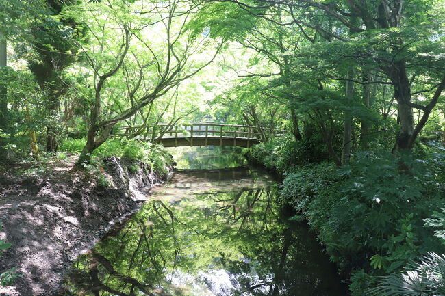 最近は東北の方の温泉に行くばかりでしたが久々に行ったことない県にも行ってみようと思い、コロナで遠出を自粛してたこともあり、久々4年ぶりの空の旅。かねてから行きたかった初めての大分へ。