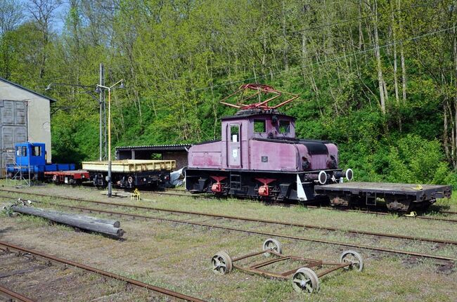 ドイツ鉄道の旅（その９ 保存鉄道ブッコー小鉄道のブッコー駅はミニ鉄道博物館）