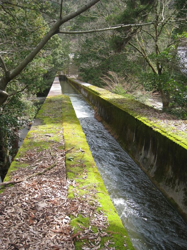 二日目は、桜はまだかな、と久しぶりに蹴上からインクラインを通って水路閣へ。琵琶湖疎水を通って南禅寺まで行ってみました。その後も哲学の道を抜け、だいぶ歩いた後は国芳展へ。本当は国芳展がこの旅のメインのイベントだったのです。