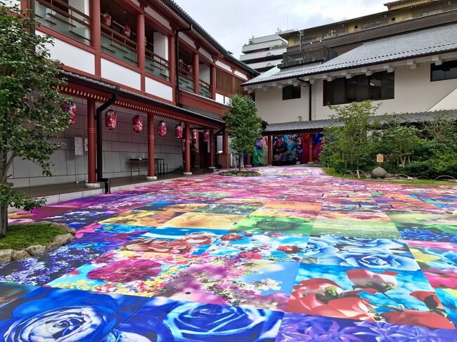 二日目、午後から雨の予報だけど、降る前に行けるとこは行っとこ<br />しっかり朝ごはん食べて、大きな荷物はホテルにお昼まで預け<br />前日駅で現金購入した市内電車２Dayチケット（１１００円）使って、<br />観覧車にも乗り～の<br />早めに道後温泉に行き～の<br />蜷川実花「道後温泉別館の飛鳥乃湯泉中庭の、インスタレーション」見～の<br />からくり時計を見～の<br />お土産も買い～の、と<br />結構、内容が濃い一日過ごせたかな<br />もちろん夕食もお喋りもたっぷり(笑)<br />露天風呂も良かったし<br />少し雨はぱらついたけど、傘もささずに過ごせた<br />やっぱり私は晴れ女<br />って、三人とも思ってるし