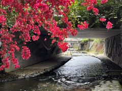 バスフリーきっぷでめぐる「初夏の花咲く熱海」