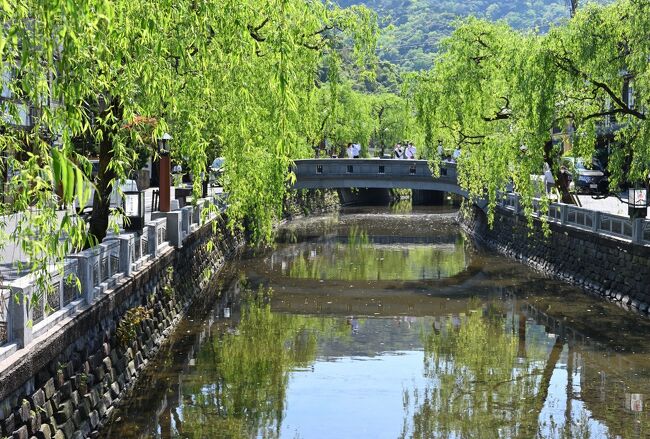 2022年のGW、これまで行ったことのないエリアを旅してみようと思い立ち、今回は京都府から兵庫県の日本海側にあたる北近畿エリアを周遊してみることに。<br /><br />１日目、京都府福知山市をサクッと観光したのち、次に訪れたのが、開湯1300年の歴史を有する温泉街として知られる兵庫県の「城崎温泉」で、前々から１度行ってみたいなぁと思ってたスポットです。<br />さっそく川沿いに柳並木が続く情緒溢れる温泉街をそぞろ歩き、この日は「西村屋ホテル招月庭」に１泊して、名湯と称させる温泉と山海の幸とを楽しむ贅沢なホテルステイ♪<br /><br />眩しい新緑の季節、昔と変わらぬ活気ある温泉街に滞在し、ゆったりとした時間を過ごすことができました。<br /><br /><br />〔2022GW・北近畿周遊の旅（2022年５月）〕<br />●Part.1（１日目①）：福知山城（続日本100名城）<br />　https://4travel.jp/travelogue/11757484<br />●Part.2（１日目②）：城崎温泉【この旅行記】<br />●Part.3（２日目①）：丹後半島（立岩～経ヶ岬）<br />　https://4travel.jp/travelogue/11763514<br />●Part.4（２日目②）：伊根浦（重要伝統的建造物群保存地区）<br />　https://4travel.jp/travelogue/11766916<br />●Part.5（３日目①）：天橋立①（日本三景）<br />　https://4travel.jp/travelogue/11769429<br />●Part.6（３日目②）：天橋立②（日本三景）／元伊勢籠神社（一之宮）<br />　https://4travel.jp/travelogue/11772141<br />●Part.7（３日目③）：出石神社（一之宮）／出石城（続日本100名城）<br />　https://4travel.jp/travelogue/11774247<br /><br />〔温泉街そぞろ歩き＆ホテルステイ〕<br />●四万温泉（群馬県）：https://4travel.jp/travelogue/11527443<br />●箱根塔ノ沢温泉（神奈川県）：https://4travel.jp/travelogue/11608083<br />●別所温泉（長野県）：https://4travel.jp/travelogue/11516799<br />●伊東温泉（静岡県）：https://4travel.jp/travelogue/11731844