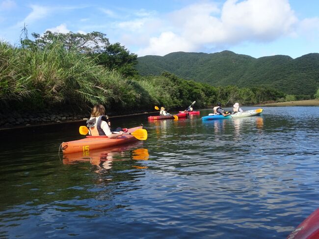 羽田から奄美大島(カヌー体験 グラスボート 郷土館)に飛び、ツアーでトカラ列島(十島村の有人島の宝島 小宝島 平島 悪石島 諏訪之瀬島 中之島 口之島)を訪問。その後、鹿児島で妻と合流し、個人で屋久島(ヤクスギランド 白水雲水峡等)・鹿児島を訪れ15日に神戸に行き、17日に関東に帰りました。(10泊11日の長旅でした。)(写真)マングローブ林でのカヌー体験をしました。<br />(トカラ列島)有人七島がありますが、定期船の頻度が少ない為、全島を訪問するのが時間が掛かります。始めは2022年鹿児島発7月22日又は8月26日の7島巡りツアー特別便(限定25人?位です。)を考えていましたが、西遊旅行社のツアーがあり、それに参加する事を決めました。(ツアー特別便だと各島2時間前後の訪問で十分に観光できない為です。)<br />(奄美大島観光)奄美空港でツアーの人々(計6人)と合流し、奄美市内を通り、黒潮の森マングローブパーク林に行き、1:30カヌー体験をしました。名瀬のR「吟亭」で島唄と郷土料理を戴き、スミ旅館に宿泊。早朝、名瀬漁協セリ見学し、バスで古仁屋に行き、水中観光船「セト」でサンゴと熱帯魚を見学。海の駅で昼食を戴き、瀬戸内町郷土館で奄美の歴史を学びます。名瀬に戻り、入浴・夕食を戴き、夜行船でトカラ列島の宝島に向かいます。<br />①2022年7月5日(火)<br />自宅-10:22品川10:27-10:49羽田空港T1に着きます。パワーラウンジ(11:10-11:50)で休み、羽田(T1)12:20(JL659)14:25奄美空港 に着きます。 <br />1)(奄美大島観光)<br />奄美空港14:35(車窓風景ー展望台(旧管制塔) 奄美パーク 土浜海岸 原ハブ屋奄美 神の子海岸 浦の橋立 平和の塔 リウキュウマツ 本茶トンネル 平有盛神社(平家落人伝説の平家五社の一つ) 田村の家 和光トンネル 名瀬市内 朝戸トンネル 東城内海 川内川(交流館)道の駅佐用に着きます。<br />2)黒潮の森マングローブパーク林(16:00ー17:30)(カヤック体験)(干潮時の佐用川 役勝川を漕いで、オヒルギ メヒルギ シマネキ トビハゼ シオマネキ マングローブ林 原生林 土塚(アナシャコ)等を見ます。)スミ旅館18:30着。<br />3)(夕食)名瀬R「吟亭」(19:00-20:30)(島唄と郷土料理)4000円 スーパー(20:35-21:00)朝食と焼酎を購入。 (泊)名瀬「すみ旅館」<br />②7月6日(水) <br />(奄美大島観光)<br />1)名瀬漁協セリ見学(6:00-7:00) 近所散歩 (朝食)8:00-8:20 <br />名瀬9:18(乗合バス)10:42古仁屋(セトウチ海の駅)に行きます。<br />2)水中観光船「セト」(グラスボート)(11:30-12:05)熱帯魚とサンゴを見学します。<br />3)(昼食)セトウチ海の駅のR(12:10-12:50)(島の御造り定食)を戴き、<br />コーラル橋(レンタカー1H13:00-14:00) 瀬戸内町郷土館13:06着。<br />4)瀬戸内町郷土館(見学)<br />古仁屋(セトウチ海の駅)14:12(乗合バス)15:35名瀬・すみ旅館16:30(タクシー)H16:35着。 <br />5)入浴(17:10-18:00) (夕食)名瀬(ポートタワーH)R「ポートビュー」(18:15-19:30) H19:45(タクシー)19:55名瀬佐大熊岸壁20:00フェリートシマ2乗船<br />船内で焼酎・ツマミ(20:20-20:35) 21:00消灯します。 (泊)船泊<br />③7月7日(木)<br />名瀬港2:00(船2等和室)5:00宝島に着きます。<br />{旅程}<br />★①7/5(火)羽田12:20(JL)14:25奄美大島(マングローブ林カヌー体験)泊<br />★②7/6(水)奄美大島(古仁屋ーグラスボート 郷土館)2:00(船泊)5:00<br />③7/7(木)宝島(イギリス坂 宝島港 大間泊 鍾乳洞 イマキラ岳 荒木崎灯台)(泊)宝島<br />④7/8(金)小宝島(サンゴ奇岩 ウネ神)平島(大穴 甌穴 ガジュマル)悪石島(対馬丸 金山・坂森神社 遊歩道 砂蒸・湯泊温泉)泊<br />⑤7/9(土)諏訪之瀬島(乙姫伝説の洞窟 ナベダオ大木 藤井富傳墓)中之島(西区温泉)泊<br />⑥7/10(日)中之島(トカラ馬 歴史資料館 御池 七ツ山海岸 御岳一周 天文台)泊<br />⑦7/11(月)口之島(タモトユリ カワ フリイ岳 北緯30度モニュメント 赤瀬)11:35(船)18:20鹿児島(泊)<br />⑧7/12(火)鹿児島7:30(船)10:20屋久島(宮ノ浦)(ヤクスギランド・紀元杉)泊 <br />⑨7/13(水)白谷雲水峡(楠川歩道往復 大岩 クグリ岩 苔ムス森 白谷小屋)泊<br />⑩7/14(木)屋久島一周(千尋ノ滝 ガジュマル 大川ノ滝 西部林道 灯台)16:00(船)18:55鹿児島(泊)<br />⑪7/15(金)鹿児島(照国神社 西郷隆盛銅像 鶴丸城跡 仙厳園 フルサト館)20:00(SKY)21:10神戸<br /> <br />