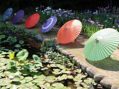 和傘、花ショウブ、スイレンと雅な和の美の徳川園♪＆千種公園ユリ園♪