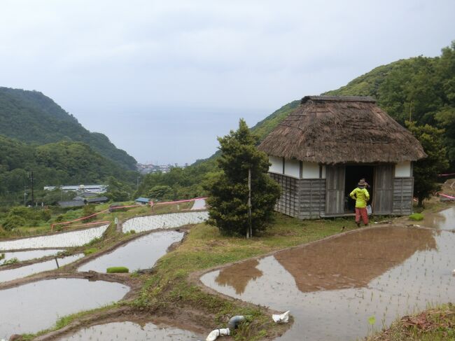 東伊豆の伊東から西伊豆の雲見へ。②雲見の秘湯に泊まる！　途中石部の棚田に寄ってみました。日本昔話みたい。