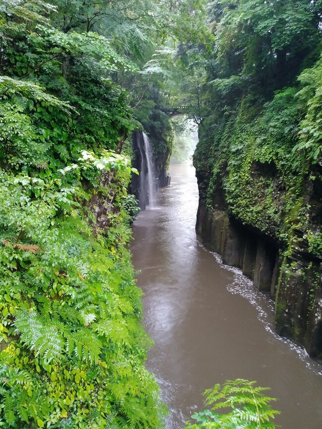 前回実行したさんふらわあ別府弾丸旅がなかなか充実したものだったのでまた船旅をしたいなあと思いをはせている時に宮崎カーフェリーが新しい船に変わるとのこと。九州で唯一行けていなかったのが宮崎。以前から高千穂峡に行きたいと思い続けていた時に見つけたのがトラピックスのツアー。まさしく今の私の希望にぴったり！参加を決めました。