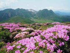 ミヤマキリシマで染まるくじゅうへ　その3平治岳、大船山登山編