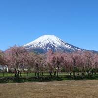 チャリと行く春の花旅東日本 2022 /９日目(4/30)前編