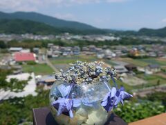 なんじゃい！あじさいを見て､下仁田にかつ丼を食べに行っただけなのに…