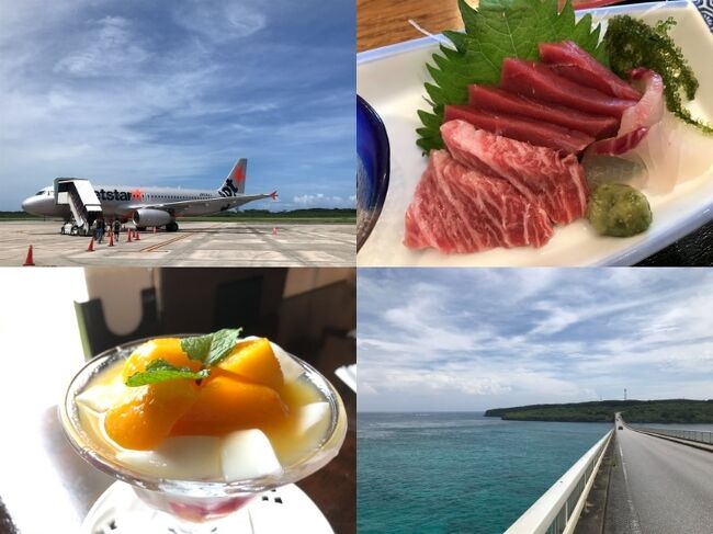 どうも！ジェットスターのまわし者です（笑）<br />ジェットスターのセールで下地島（≒宮古島）への往復を14,300円（往復総額諸税込み）でゲットして、2泊3日で宮古島へ行ってきました。<br />毎年、この時期に南の島へ行って夏を浴びないと調子悪くなるんです。<br /><br />航空券　14,300円（往復総額諸税込み）<br />6月11日　ジェットスター　GK323便<br />成田空港（7時30分）→下地空港（10時40分）<br />6月13日　ジェットスター　GK324便<br />下地空港（11時25分）→成田空港（14時15分）<br /><br />宿<br />6月11～12日<br />Mr.KINJO in NISHIZATO 宮古島　7,007円（税込み）<br />6月12～13日<br />ホテル　ローカス　10,909円（朝食付き、税込み）<br /><br />その他<br />6月11日<br />京成電鉄株主優待券　950円（成田スカイアクセス線経由）<br />宮古協栄バス　500円<br /><br />6月12日<br />レンタルバイク　2000円<br />ガソリン2.1Ｌ　　395円<br /><br />6月13日<br />宮古協栄バス　500円<br />京成線  920円