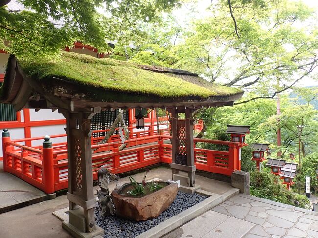 5月GW明けの週末。<br />びびパパがまたまたお得な航空券を見つけてポチ。<br />伊丹空港からどこへ行こうか??<br /><br />そうだ!<br />3月の滋賀県旅行のリサーチ中に見つけたびわ湖疎水船!<br />大津から蹴上まで船で移動したら京都だね!<br />5月の京都はちょうど青もみじが美しい時期。<br />久しぶりの京都は<br />青もみじの美しいエリア・・鞍馬寺・貴船へ。<br />そして特別拝観中の瑠璃光院も。<br />お城つながりで二条城を見て<br />東本願寺に圧倒されました。<br />京都はやっぱり不思議な魅力であふれる街。<br />行けば行くほどまた行きたくなるな~。<br />1泊2日でも楽しめた京都旅でした。<br /><br />5/14 仙台空港7:15発ー大阪伊丹空港着9:15着 <br /> ANA 732便<br /> リムジンバスで京都駅<br /> 京都駅から琵琶湖線で山科経由京阪線で浜大津。<br /> 三井寺に拝観してからびわ湖疎水船。<br /> 蹴上インクラインを見て二条城。<br /> 夕食は京都のおばんざいを頂きました。<br /> <br /> 天然温泉 蓮花の湯 御宿 野乃京都七条 泊 <br /> <br />5/15 鞍馬寺から貴船へ。<br /> 川床でお昼を頂いた後<br /> 貴船神社<br /> 瑠璃光院<br /> 東本願寺 <br /> 京都駅からリムジンバスで大阪伊丹空港へ<br /> 大阪伊丹空港19:40発ー仙台空港20:55<br /> ANA739便 <br /> <br />航空券:ANA HPから予約<br /> 往復1人21,380円<br /> スカイコイン+差額クレカでお支払い<br /><br />ホテル:天然温泉 蓮花の湯 御宿 野乃京都七条<br /> プラン:【早期割30◆朝食付】<br /> 30日前までのご予約がお得の早期割引!<br /> 癒しのシンプルステイプラン☆<br /> 客室:◆禁煙◆ツインルーム<br /> 大人@ 10,150 円 x 2 名合計20,300円<br /><br />ドーミーインHPから予約<br /> <br />この旅行記は<br />2日目叡山電鉄で鞍馬寺。<br />鞍馬寺から奥の院を通り貴船へ。<br />青もみじがどこもとても美しく<br />そして鞍馬寺奥の院から貴船へ抜けるコースは<br />義経ゆかりのスポットや鞍馬寺の不思議な魅力あふれる場所でした。<br /><br /><br />備忘録としての旅行記です。<br />シツコクなるのをお許し下さい。