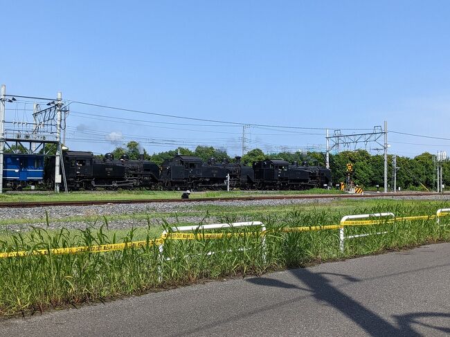 　東武鉄道の南栗橋車両管区で開催された「SL大樹3重連イベント」に参加してきました。復元が完了したC11形123号機を先頭に、C11形207号・325号機を連結させて走らせる旅行会社主催の限定イベント。<br />　南栗橋車両管区の訓練線内をたった500mほど走行するのを撮影（見学）、乗車するだけで参加費が2万円もしたので、わざわ参加する価値もないかなと思いました（現に募集ツアーは満員御礼にならなかったようです）が、今回のような三重連の雄姿はもう2度とお目にかかれないだろうと思い、思い切って参加しました。割高なツアー代はC11形123号機の復元費用の寄付と思うことにしました。