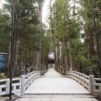 春の紀州　西国札所巡りと高野山　ひとり旅【2】高野山　奥の院　壇上伽藍のライトアップ　初めての宿坊