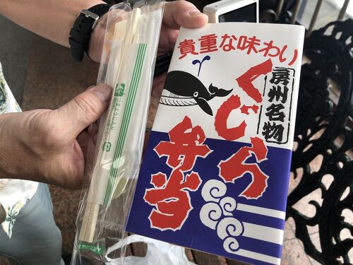 目で見る館山・鴨川・安房の100年 館山市 写真が語る激動の