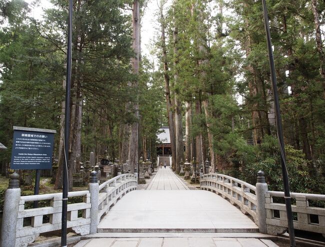 初の高野山への旅、高野山入りして、まずは最奥の奥の院に向かいます。<br /><br />次の日に夜に、ナイトツアーで奥の院に行く予定ですが、やっぱりちゃんと明るいうちにお参りしなければね。<br /><br />この日の宿は福智院という宿坊、初宿坊です。<br /><br />夜は壇上伽藍のライトアップを見に行きました。<br /><br />