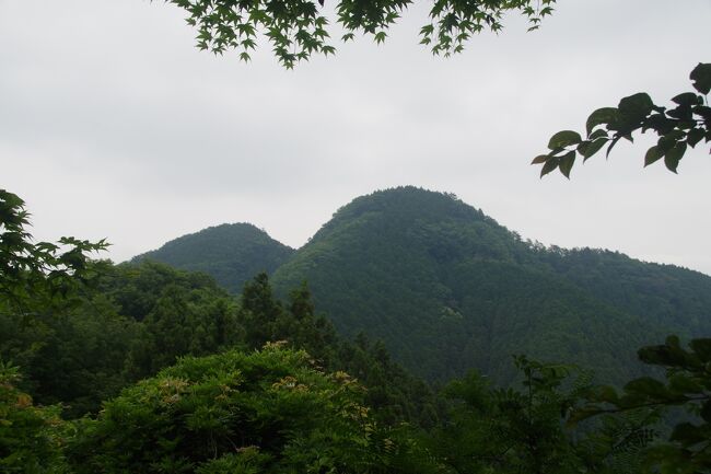 ６月18日(土)、イマイチな天気でしたが、西武秩父線はハイキング客で混雑しており、私が下車した芦ヶ久保駅も賑わっていました。<br />ここは埼玉県の横瀬町（よこぜまち）。準備をして、横瀬二子山へ登り始めました。標識と「登山LESSON」の掲示がたくさん有ります。相変わらず、登りは堪（こた）えました。ここは人気のようで、大勢が登っていました。<br />頂上近くがヌルヌルの土の急斜面で、ロープ沿いがえぐれて、酷いことになっていました。私はロープをあまり頼らず、ちょっとだけ離れた所を登りました。「二子山」は、標高882.7ｍの雌岳（めだけ）と標高882.8ｍの雄岳（おだけ）が有ります。曇っていましたが、雄岳で間近に雄大な武甲山が見えました。<br />尾根道の下り、上り、焼山、蔦岩山を通りました。ずっとドンヨリとした嫌な曇り空、梅雨でしたからね。ようやく、本日の最高点、標高1051.7ｍの武川岳（たけがわだけ）に到着。特に何も有りませんでした。急坂を峠へ下りました。<br />妻坂峠に石仏様がいらっしゃり、延享４年(1747年)のものだそうです。横瀬駅へ向かいました。この道は高低差が有るはずですが、ヘアピン状のとても緩やかな道です。武蔵と秩父を繋ぐ道であり、古代より人が歩いていたのだと思います。生川（うぶかわ）の沢がゴーゴーと流れていました。延命水という水場が有り、とてもおいしい水で、感激しました。<br />武甲山の麓であり、石灰の大きな工場の間を歩き、長々と歩きました。なんとか、降らずに、曇り空が持ち堪えてくれて、有り難かった。