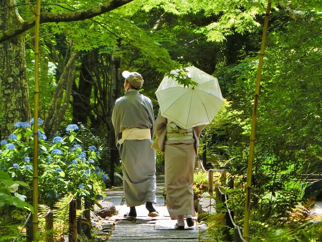 京のお散歩　　24　　清凉寺～宝筐院～祇王寺～厭離庵