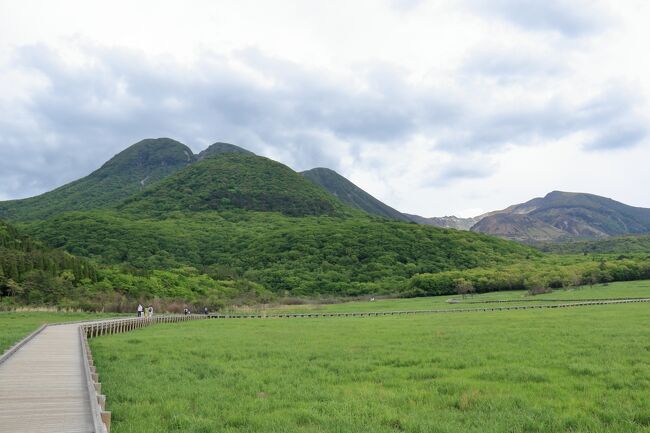 №4は、東北から新幹線で九州まで移動。<br />博多にて宿泊後、ゆふいんの森号にて由布院駅に向かうまででした。<br /><br />№5では、由布院駅到着後、レンタカーにて出発です。このレンタカーは熊本駅まで借りています。<br />湯布院の金鱗湖付近を散策し、日本一の九重夢大吊橋から九重飯田高原にあるタデ原湿原を散策して、九重星生温泉に宿泊、翌日は豊後大野の原尻の滝の観光までとなります。<br />湯布院は何度か来ていましたが、九重から原尻の滝は初めてで、楽しみなコースとなっています。<br />また、一度は泊まってみたかった九重星生ホテル。数年前のお正月に、マイカーで九州旅行に出かけたときのことですが、予約時に冬は雪が多くスノータイヤでないと無理と言われ断念したホテルでしたので期待も大でした。<br />この2日間は天気にも恵まれ、緑豊かな山々など自然がいっぱいの風景が堪能できました。<br />しかし、湯布院は昔とは違い、若者の町になってしまったかのようで、私たち老夫婦には向かないようでした。<br /><br />7日目<br />ー（ゆふいんの森号）－由布院駅＝湯布院散策（フローラルヴィレッジ・金鱗湖）＝九重夢大吊橋＝飯田高原・タデ原湿原＝九重星生温泉【泊】<br />8日目<br />九重星生温泉＝原尻の滝＝