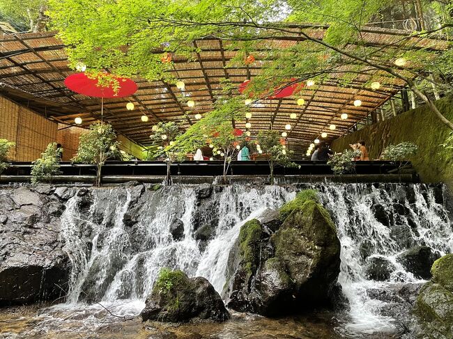 マイカーで行く、１泊2日の京都旅行。滞在中は交通フリーカードを使用し、バス、京阪電車、叡電をフル活用しての移動。貴船、鞍馬をメインに、新発見のグルメ巡り。<br /><br />