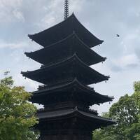 京都お寺散策３日目　桂離宮・東寺・妙心寺