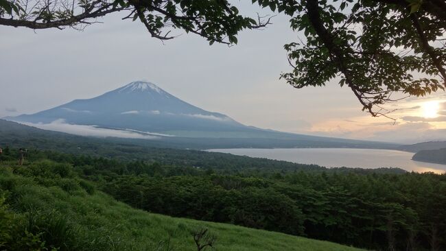 ひさしぶりに山中湖に来ました。何十年ぶりでしょうか。まず行ったのが，パノラマ台。ちょうど雲も切れて，きれいな富士山と山中湖が見れました。
