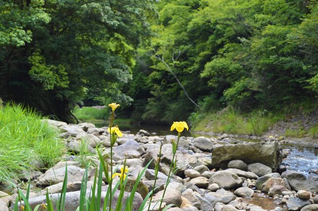 神戸市北区にある鎌倉峡へ久しぶりに出掛けました。鎌倉幕府五代執権・北条時頼(北条義時の曾孫）が出家し最明寺入道と名乗り諸国を旅し鎌倉峡で庵を結びました。加えて有馬富士公園と多田銀銅山へも出掛けましたので併せて投稿します。1日の周遊になってますが、実際は３日で訪れました。４月１０日・５月２９日・６月１２日です。勿論距離的に１日で周遊可能です。