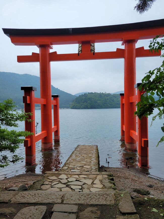箱根は自宅から日帰りできますが今までは温泉宿に泊まる目的で訪れていました。今回はテレビ番組「新美の巨人」で紹介されていた箱根神社を訪れたことがなかったので日帰りで行ってきました。梅雨の時期に訪れたのは初めて。