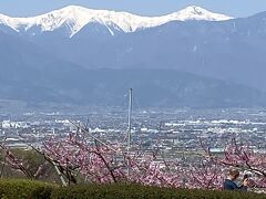 亡き義父との思い出を巡って春の山梨へドライブ