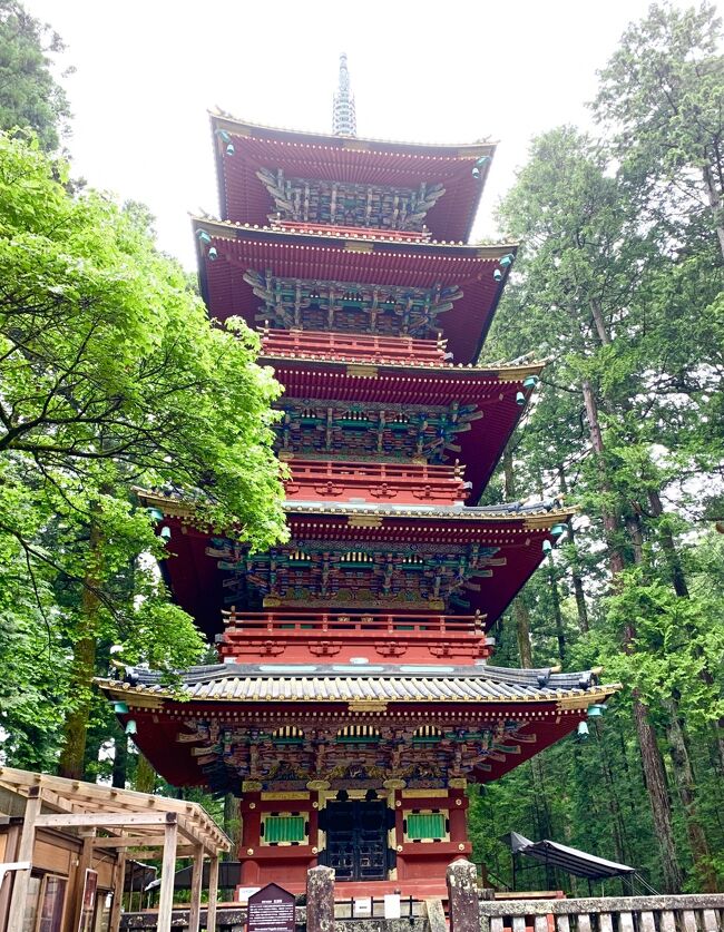 何十年ぶりかになる日光への旅<br />数日前に急に決めて、旅に出ました<br /><br />首都圏はもう暑いものの<br />到着した日光は上着を着ていても肌寒い日でした<br />時折、霧雨が降るので、見える景色もより幻想的で素敵でした<br /><br />フリーパスを使って、お得に楽に旅できました<br />今回はすべて、公共交通機関と徒歩のみで<br />世界遺産を巡りました<br /><br />時間的にも余裕があったので<br />ゆったりと1人時間を堪能できました<br /><br />女1人旅、どこへ行くにも自由で快適でした<br />日光は、同じようなお一人様を、とても多く見かけましたので<br />一人旅に挑戦する方には、向いている場所かもしれません<br /><br /><br /><br /><br /><br /><br /><br /><br />