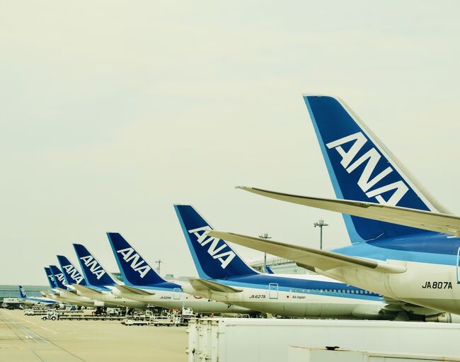 はとバスによる羽田空港制限エリア内部見学ツアー「羽田空港ベストビュードライブ」に参加したときの旅行記　第1弾。<br />普段は飛行機に乗り降りするだけの空港だが、立ち入れない制限エリアにバスで入れるという特別なツアー。<br />日本一の巨大空港の内部へいざ出発！