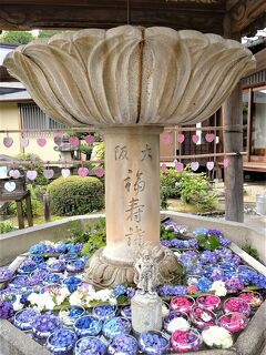 2022紫陽花紀行 in 京都②石清水八幡宮・三室戸寺