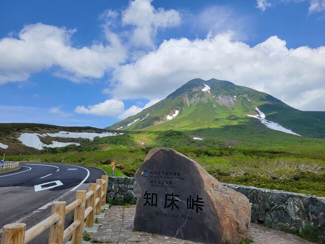 どこかにマイルで出たのは女満別。<br />北見や原生花園、美幌峠など候補があがるも公共交通機関を利用しての旅。<br />春の知床峠が見たくて計画しました。<br /><br />滞在時間が24時間なので、1日目に知床に近いところへ行けるだけ。<br />2日目は朝から、斜里バスのふれあい号に乗ります。<br /><br />6/18　JAL569 羽田 17：45 - 女満別 19：30 <br />6/19　JAL566 女満別 22:15 - 羽田 22：05<br />