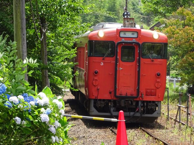 　小湊鉄道にキハ40がやって来たことは以前ここでも紹介したが、今回は、そのキハ40系で、小湊鉄道線を往復してみた。<br />　秋田五能線からも来た2両を仲間に入れ、今年春から4両態勢の小湊のキハ0。<br />　キハ40に乗ることだけが目的の今回の小旅行、どうぞご覧ください。