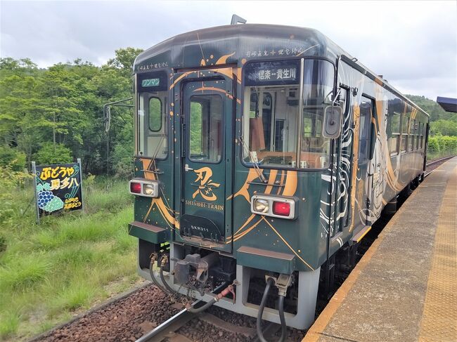 5日め　22,215歩<br /><br />今日は京都からちょっと離れて、信楽高原鉄道で鉄旅！<br />といっても鉄印帳集めではありません。<br />御朱印がそうなのですが、お参りした証なのにスタンプラリー化しているのが気に入らない…ちょっとあまのじゃく（笑）<br />鉄印帳は列車に乗るのでその比ではないのですが、今更乗り直すのも面倒だし、断捨離世代、写真データで十分（笑）<br />でも、地方列車のいい景色はスケジュール作成の参考にしています。<br /><br />ホテル…東本願寺…京都駅→草津駅→貴生川駅→紫香楽宮跡駅…紫香楽宮跡…ランチ:銀俵…日雲神社…玉桂寺…信楽駅→貴生川駅→草津駅…エイスクエア…草津駅→京都駅…夕食：つくもうどん…京都駅→五条駅…ホテル<br /><br />明日は楊谷寺、西の清水と呼ばれ、眼病にご利益があるお寺へ。<br />もちろん、花手水で超有名！！<br /><br />