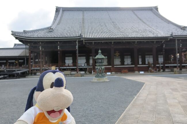 グーちゃんだよ。<br />京都鉄道博物館は完璧だったの。<br />まさかの転車台の実演が見れたのは大きいの。<br />さて感激のなか、次に向かうのが東西の本願寺さん。<br />ところが・・・。<br />営業時間があるなんて・・・。