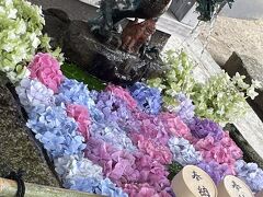 京都嵐山伏見ほのぼの旅行！…常寂光寺と紫陽花の藤森神社を訪れて…ひとり旅編！