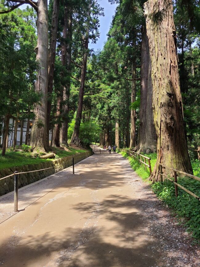 大河ドラマの影響で平泉へ行ってみたいと色々調べていくうちにだんだん行った気になってきてしばらく計画を寝かせていましたが<br />百聞は一見に如かずで思い立ち行ってきました。<br />