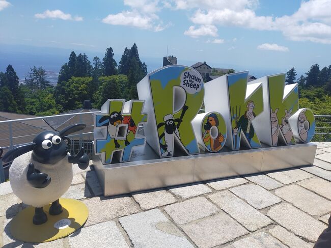 6月の気候のいい中で、涼を求めて六甲山を通り抜けてきました。六甲ケーブル~六甲山~摩耶ケーブルというルートで、いろんな乗り物にも乗れました。阪急・阪神沿線だと、六甲・まやレジャーきっぷでお得に旅ができます。