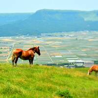 心の贅沢ひとりっぷ”熊本” （前編）力強い地球の鼓動”阿蘇”の大地を踏みしめて