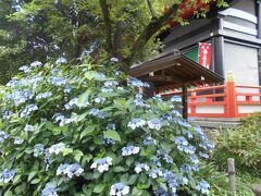 高幡不動尊 金剛寺 クチコミ アクセス 営業時間 日野 昭島 フォートラベル 高幡不動尊 金剛寺 クチコミ アクセス 営業時間 日野 昭島 フォートラベル